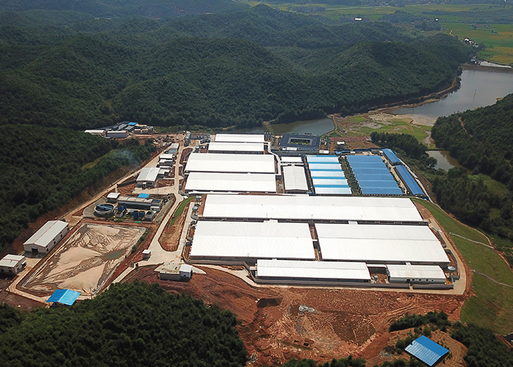 Jiangxi Shuangbao Poyang Pig F