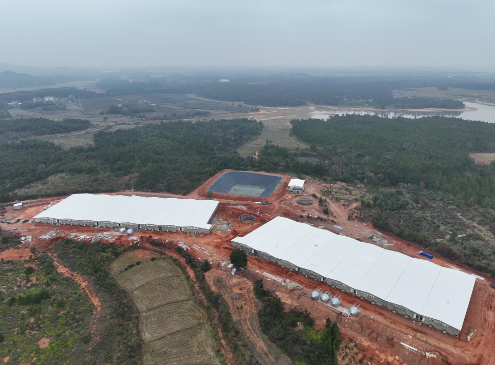 增鑫精准饲喂助力科技养猪