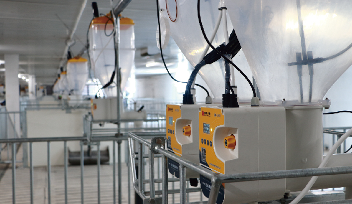 未标题-1_画板 1 副本 2.jpg