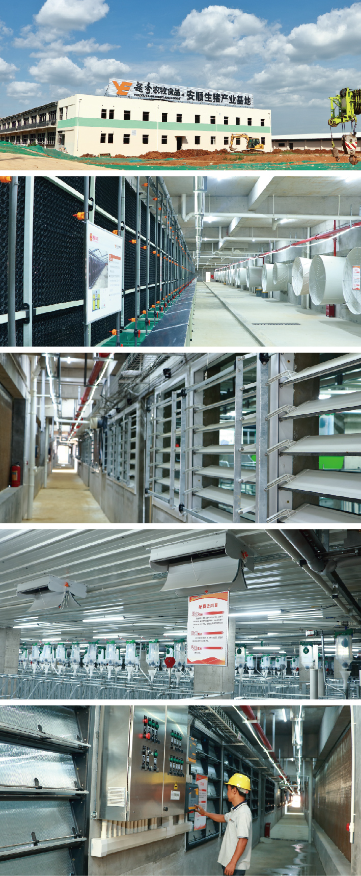 未标题-1_画板 1_画板 1.jpg 未标题-1_画板 1_画板 1.jpg