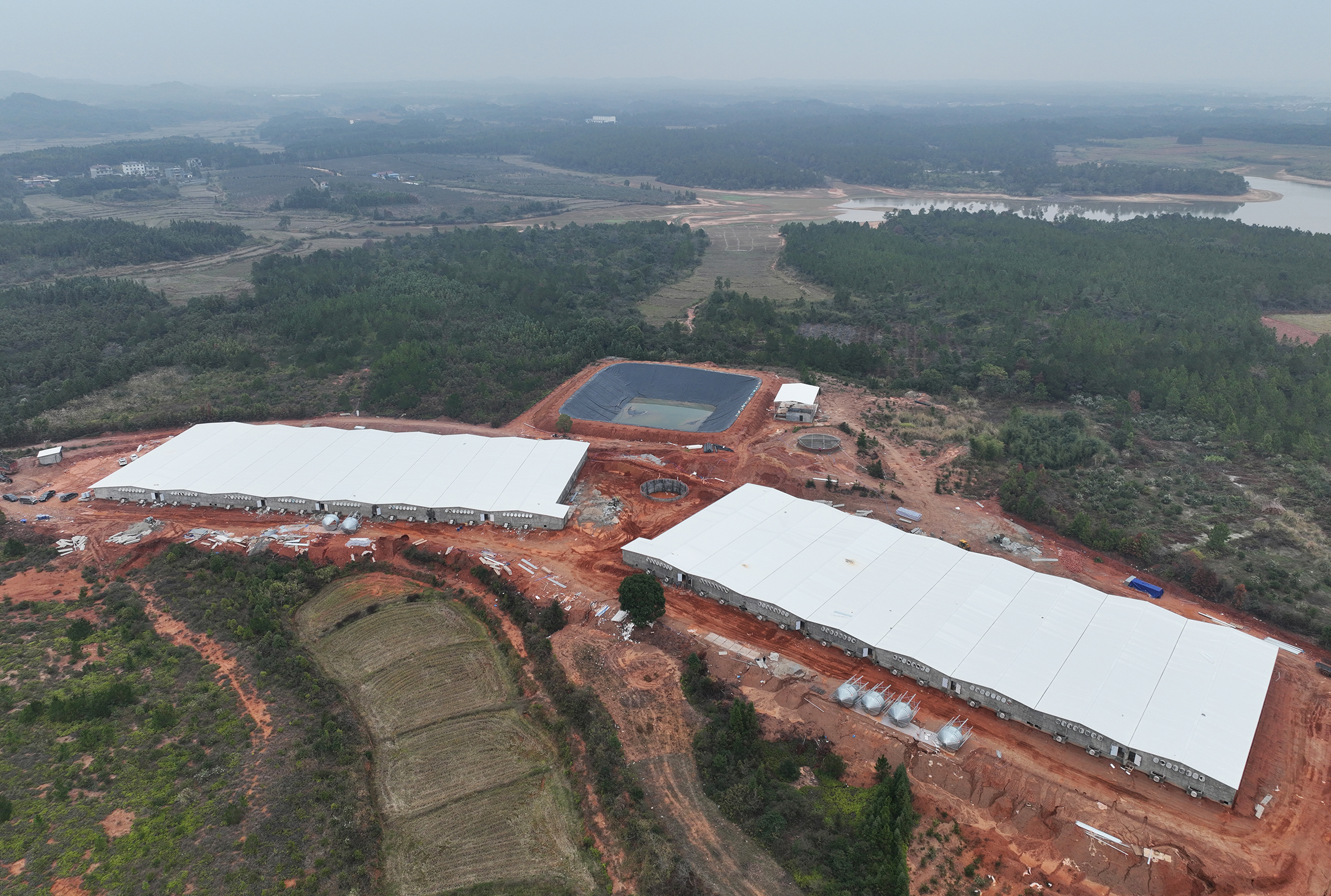 奉新奉章牧业生猪养殖项目