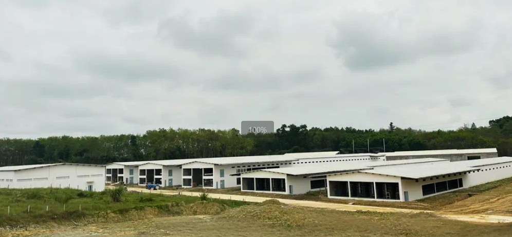 海南首欧蛋鸡项目